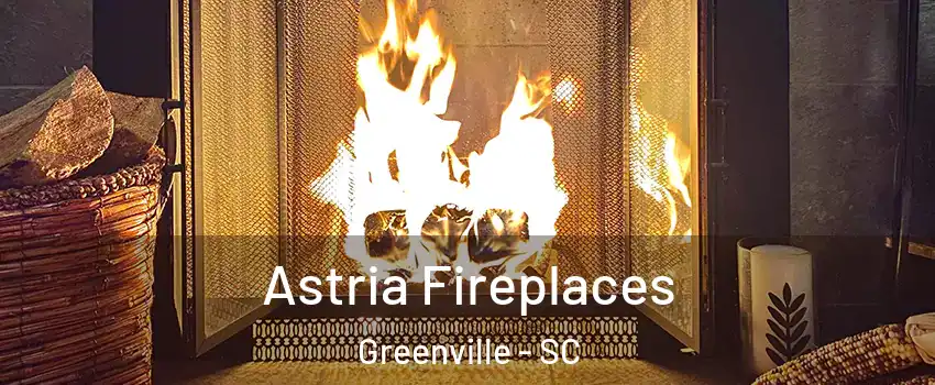  Astria Fireplaces Greenville - SC