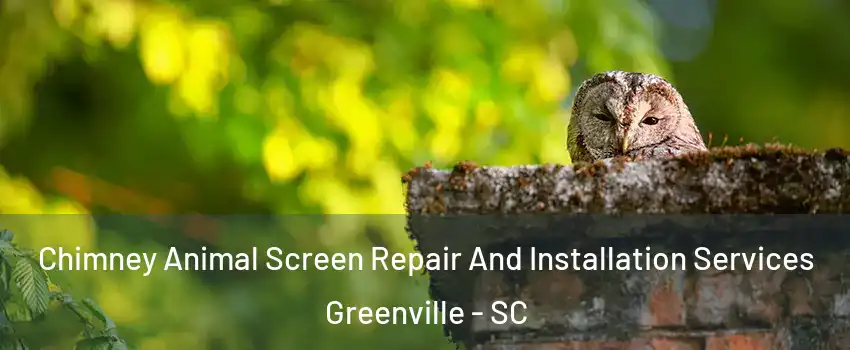  Chimney Animal Screen Repair And Installation Services Greenville - SC