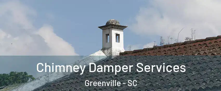  Chimney Damper Services Greenville - SC
