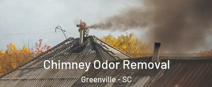  Chimney Odor Removal Greenville - SC