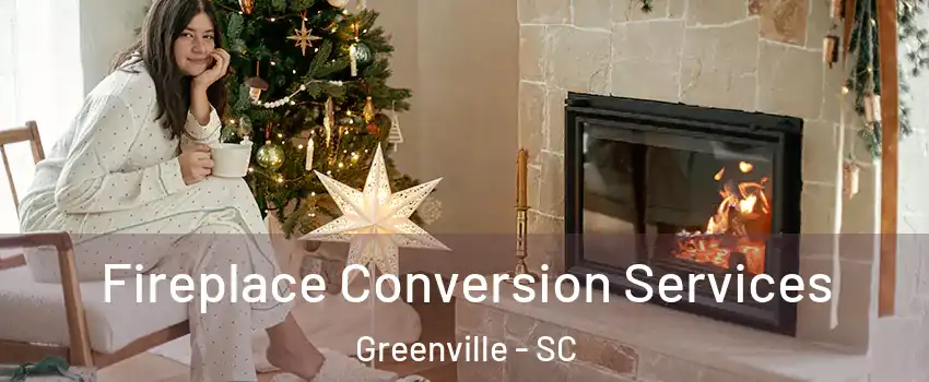  Fireplace Conversion Services Greenville - SC