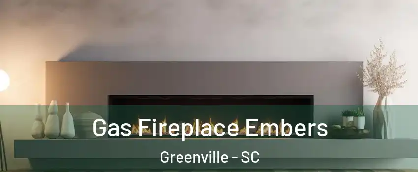  Gas Fireplace Embers Greenville - SC