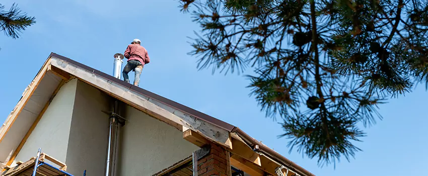 Birds Removal Contractors from Chimney in Greenville, SC