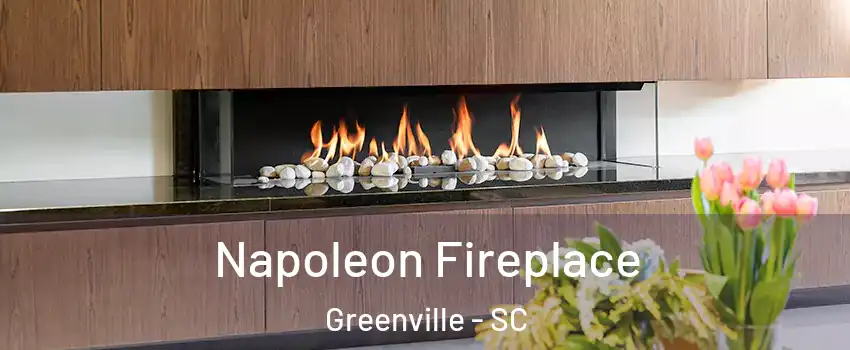  Napoleon Fireplace Greenville - SC