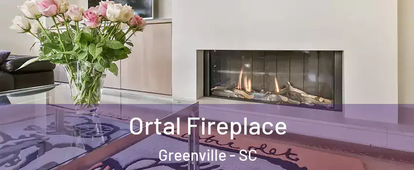  Ortal Fireplace Greenville - SC